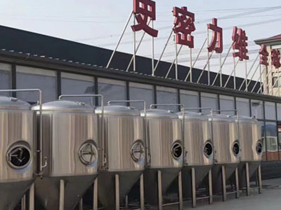酉阳精酿啤酒设备厂—如何判断精酿啤酒设备的密封件需要更换？